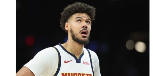 开云电子登录-美网友谈森林狼3-1掘金：麦丹最后该来个360 戈贝尔成约基奇慈父